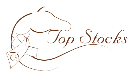 Top Stocks Logo